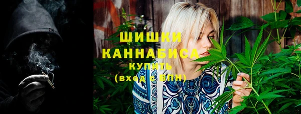 МДПВ Елизово