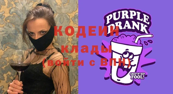 МДПВ Елизово