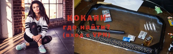ALPHA PVP Ельня