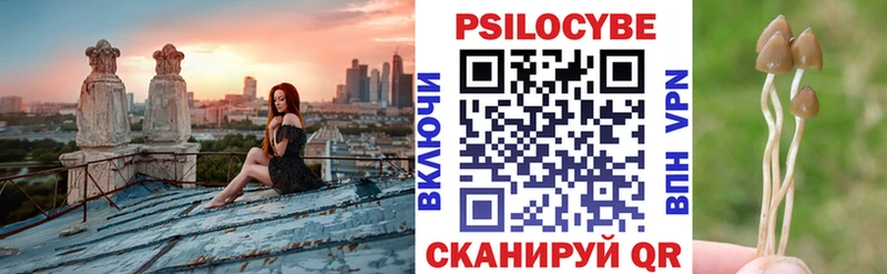 Псилоцибиновые грибы прущие грибы  Купить  Кулебаки 