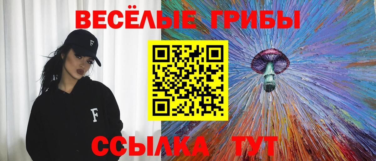 Галлюциногенные грибы Psilocybe Кулебаки