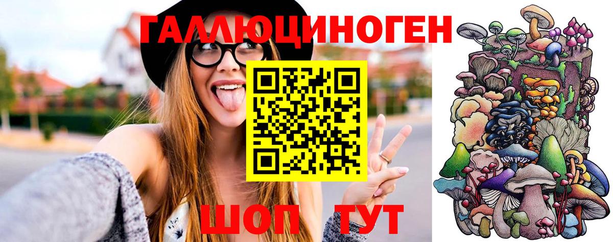 Псилоцибиновые грибы Psilocybine cubensis Кулебаки