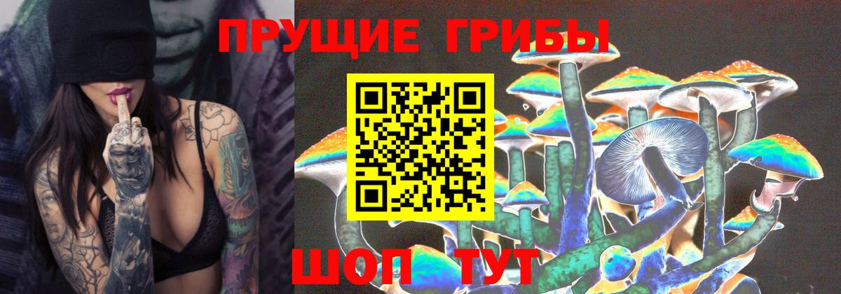 Галлюциногенные грибы MAGIC MUSHROOMS  Вход с VPN  Псилоцибиновые грибы Psilocybe  купить  сайты  Кулебаки 