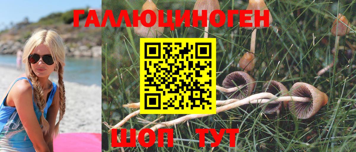 Alpha PVP СОЛЬ   МДМА  МЕТ  Мефедрон   Кулебаки  Гашиш  Канабис  МЕФ кристаллы 